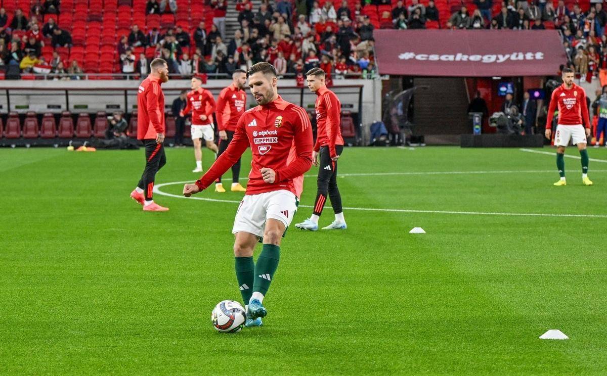 杏彩体育-匈牙利意外战胜波黑，取得宝贵三分的简单介绍