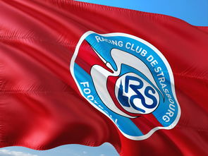 杏彩体育网页版-帕尔梅拉斯阵容深度显著，替补席也能决定比赛走向